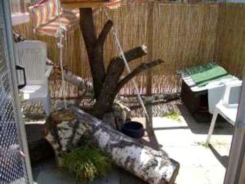 Überdachte Terrasse mit Kletterstamm und Sichtschutz