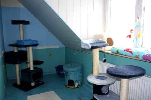 Türkis gestaltetes Zimmer mit Spielplattformen